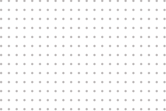 Whale Shark Adventure