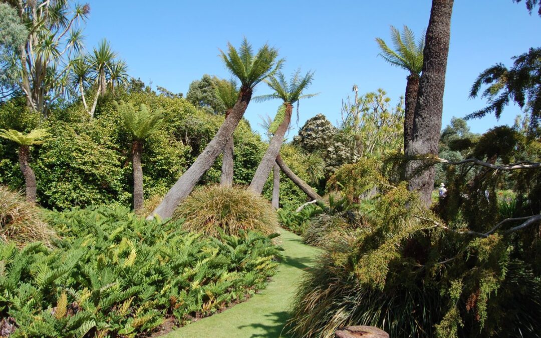 Logan Botanic Garden